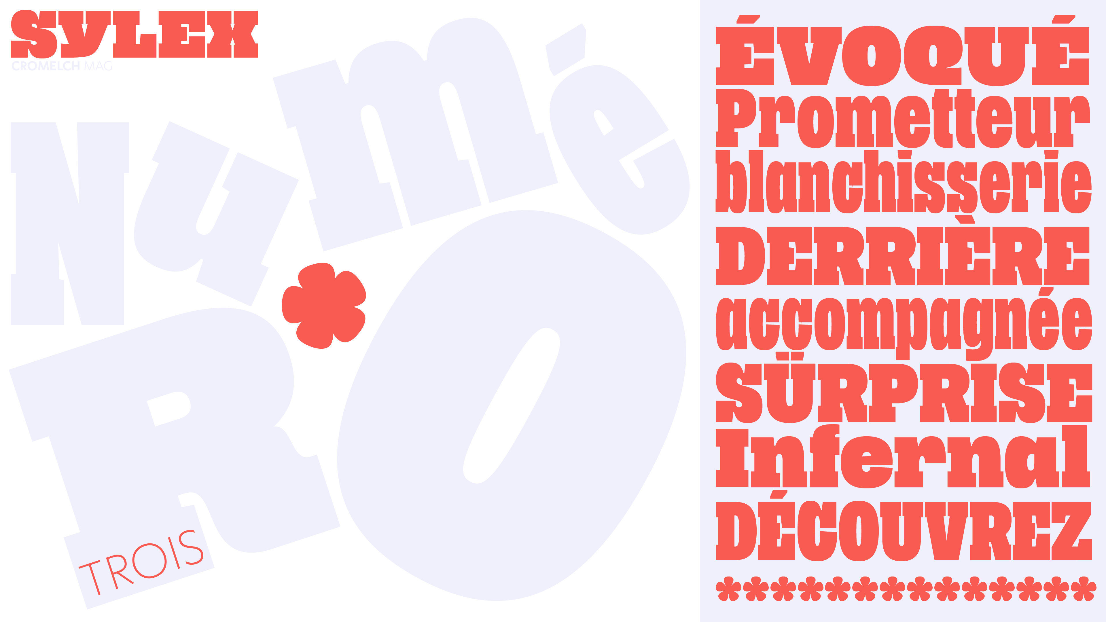 type design project named Stellion